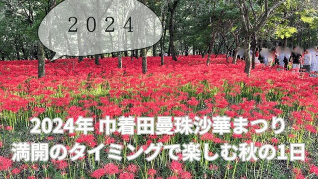 2024年 巾着田曼珠沙華まつり　満開のタイミングで楽しむ秋の1日